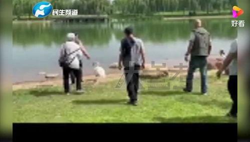 河南男学生爆料新闻事件,揭开校园霸凌黑幕  第3张